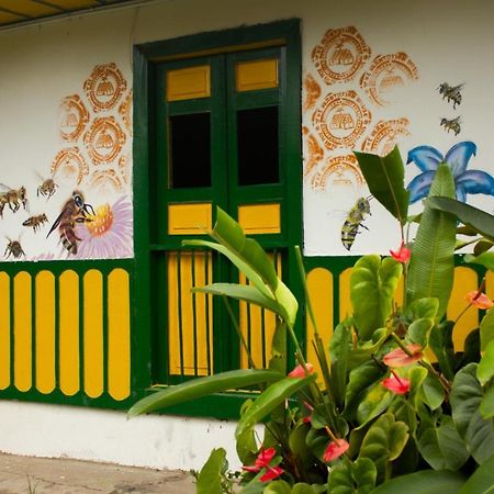 The Plantation House Travellers Hostel Саленто Екстериор снимка
