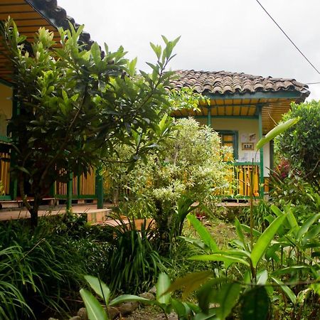 The Plantation House Travellers Hostel Саленто Екстериор снимка
