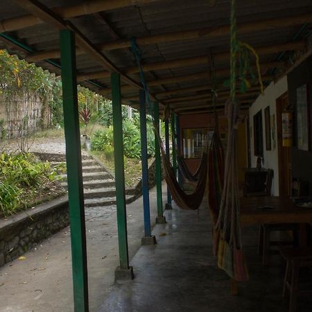 The Plantation House Travellers Hostel Саленто Екстериор снимка