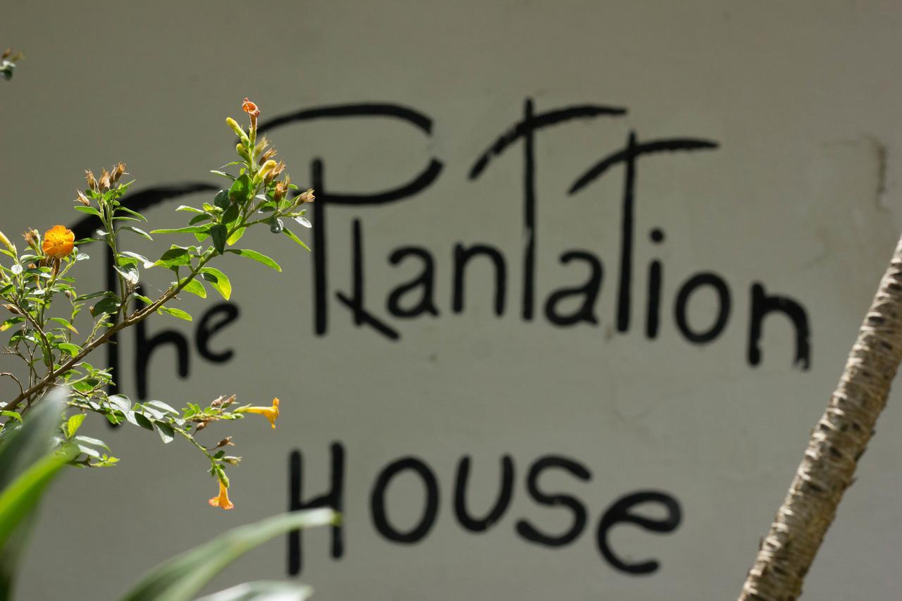 The Plantation House Travellers Hostel Саленто Екстериор снимка
